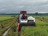 Ia Pa: Đầu vụ thu hoạch lúa vụ mùa 2017 đạt năng suất