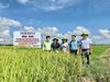 Hội thảo đánh giá giống lúa TBR97 tại xã Ia Trốk
